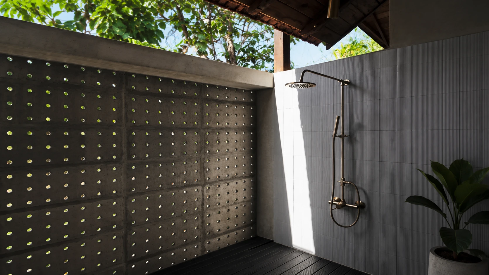 Rain Shower and Hand Shower
