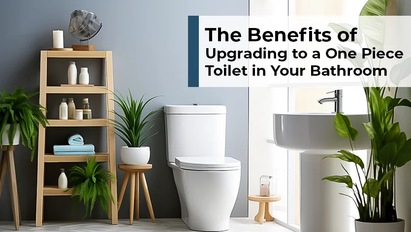The Benefits of Upgrading to a One Piece Toilet in Your Home
